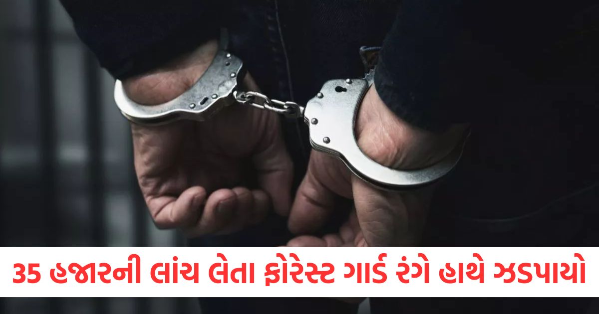 jammu kashmir forest guard arrested by cbi for 35 thousand rupees bribe2