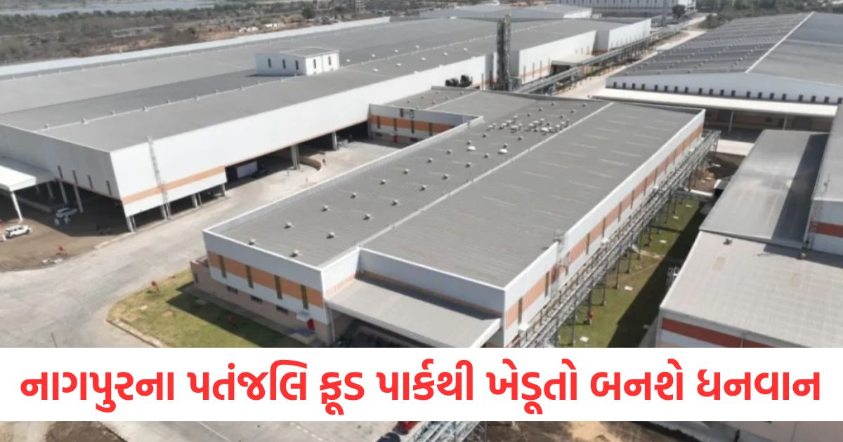 maharashtra news baba ramdev big announcement about patanjali food park nagpurret