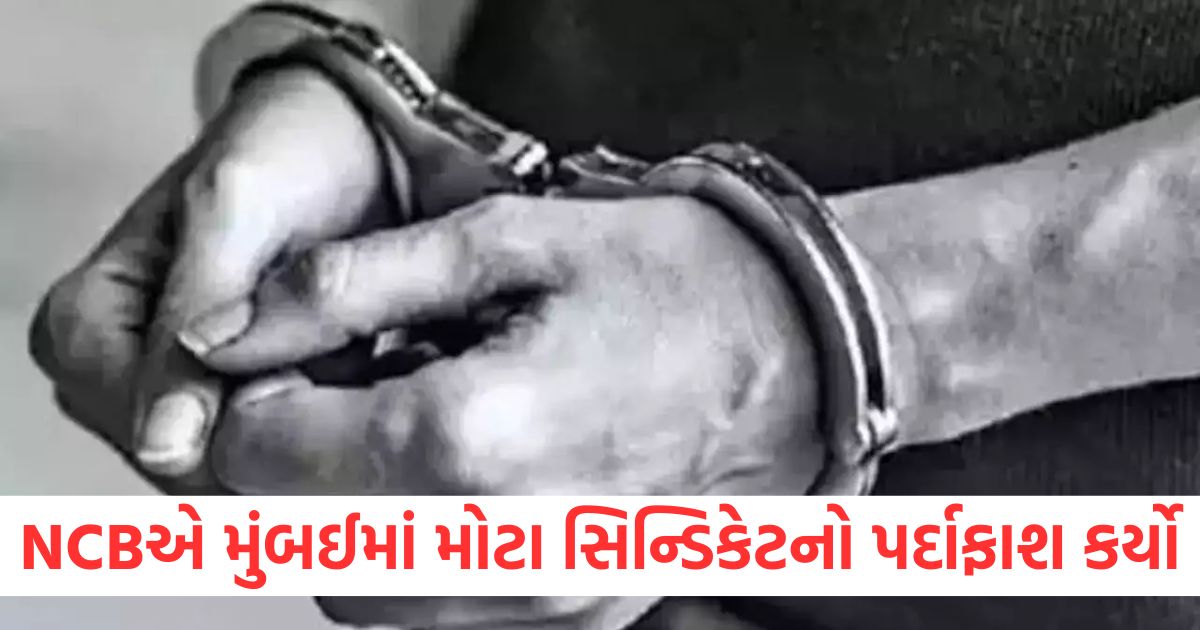 mumbai two arrested with drugs worth rs 50 crore in maharashtra1