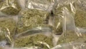 pune educated youth arrested for selling ganja 10kg drugs seized1