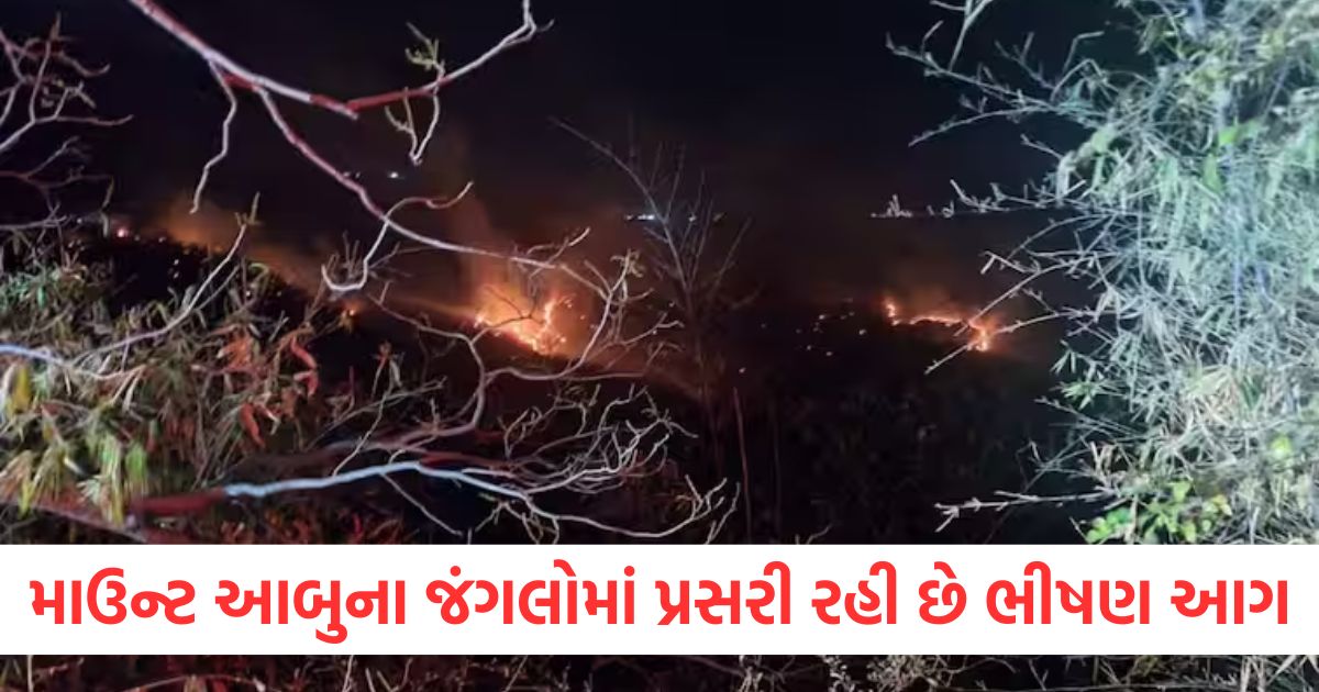 rajasthan sirohi mount abu forest fire after increasing tempratue and increasing due to fast and warm winds