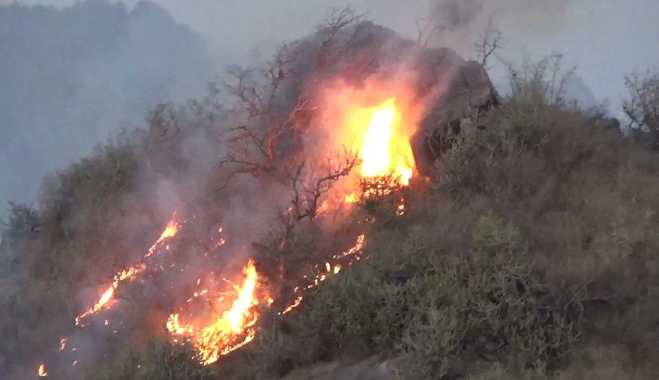 rajasthan sirohi mount abu forest fire after increasing tempratue and increasing due to fast and warm winds2