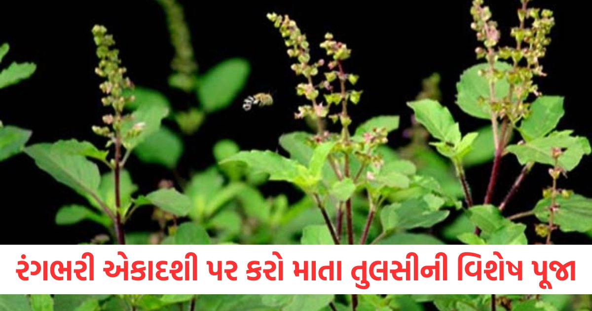 rangbhari ekadashi 2025 date and time maa tulsi ke 108 naam mantra or more2