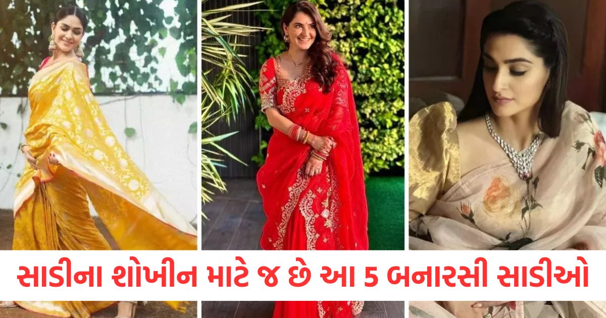 top 5 banarasi sarees to buy from varanasi for a royal look check details3