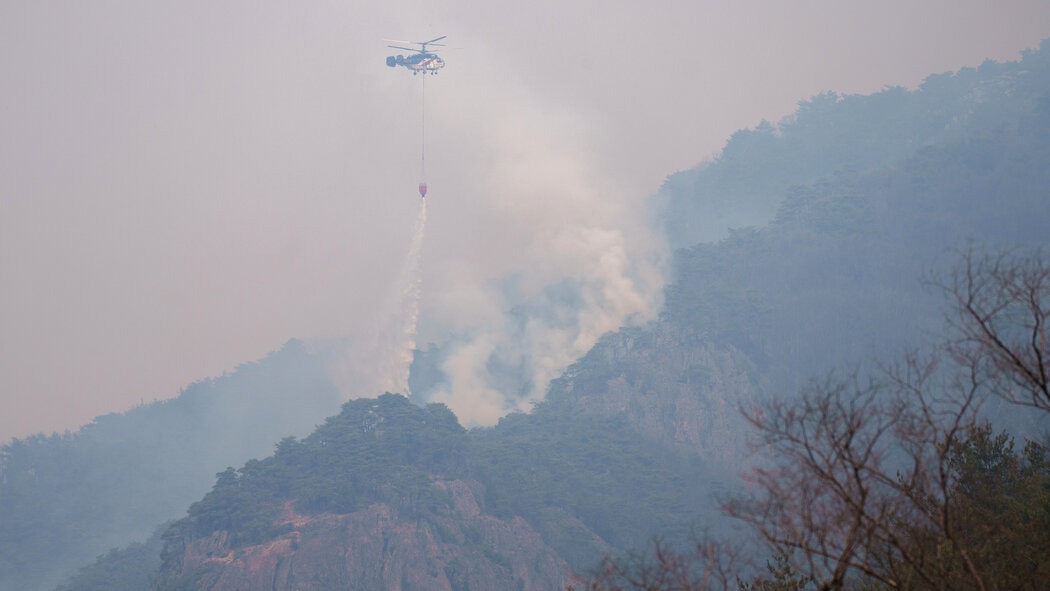 us on forest fires in south korea expressed grief over damage and loss washington promised full support to seoul1