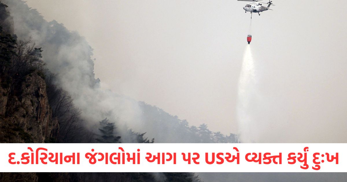 us on forest fires in south korea expressed grief over damage and loss washington promised full support to seoul2
