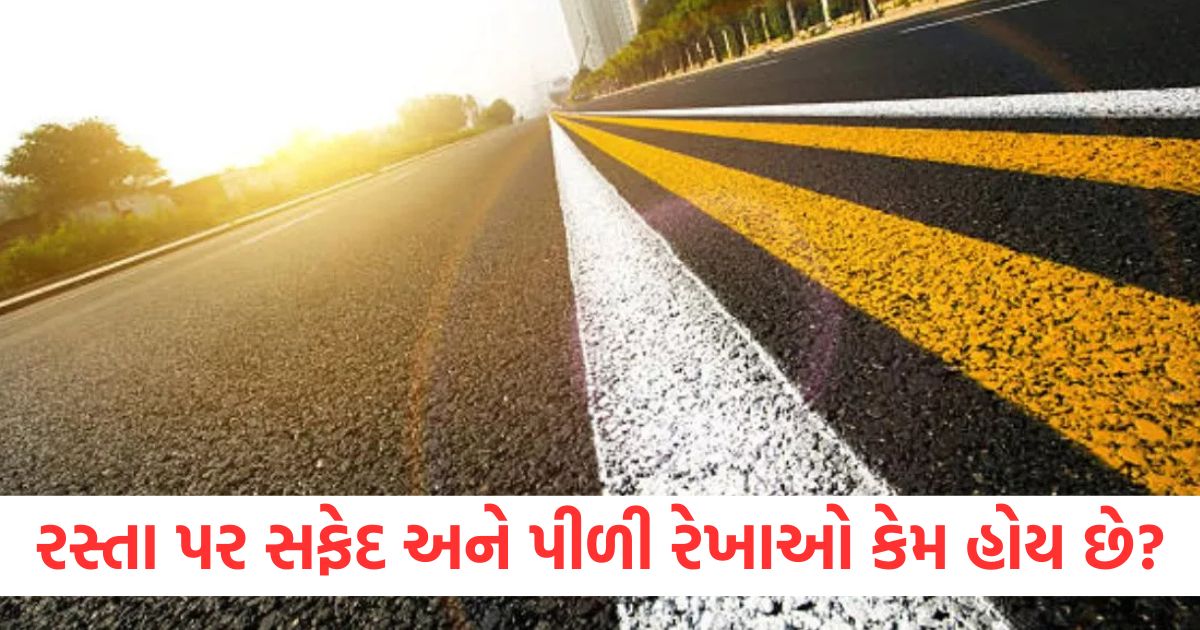 why are there white and yellow lines on roads know when to accelerate and when to brake