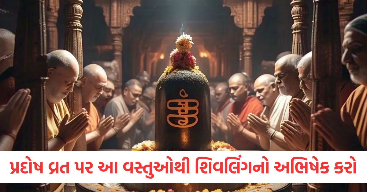 પ્રદોષ વ્રત પર આ વસ્તુઓથી શિવલિંગનો અભિષેક કરોwer