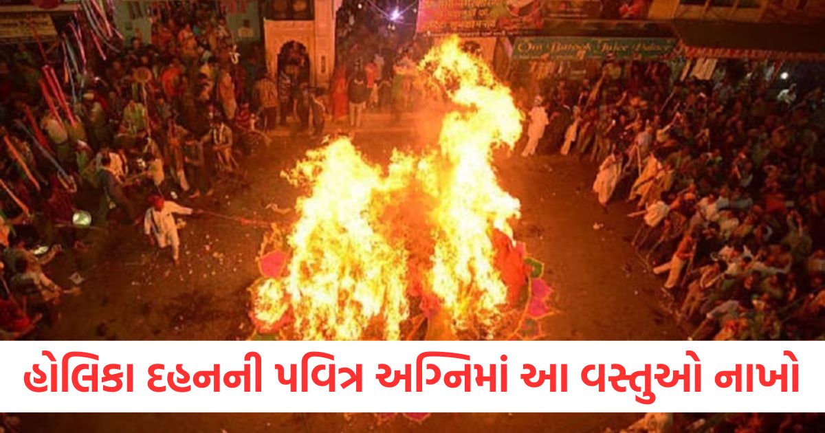 હોલિકા દહનની પવિત્ર અગ્નિમાં આ વસ્તુઓ નાખો
