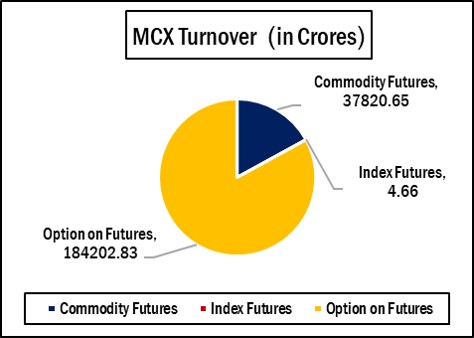 English Graph MCX Turnover 2