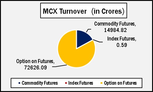 English Graph MCX Turnover 3