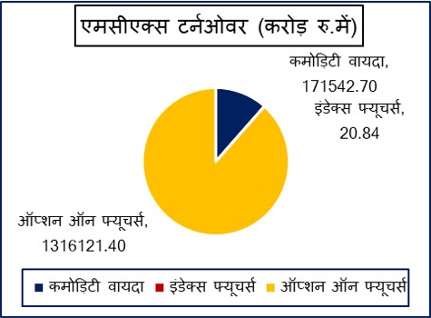 Hindi Graph MCX Turnover 4