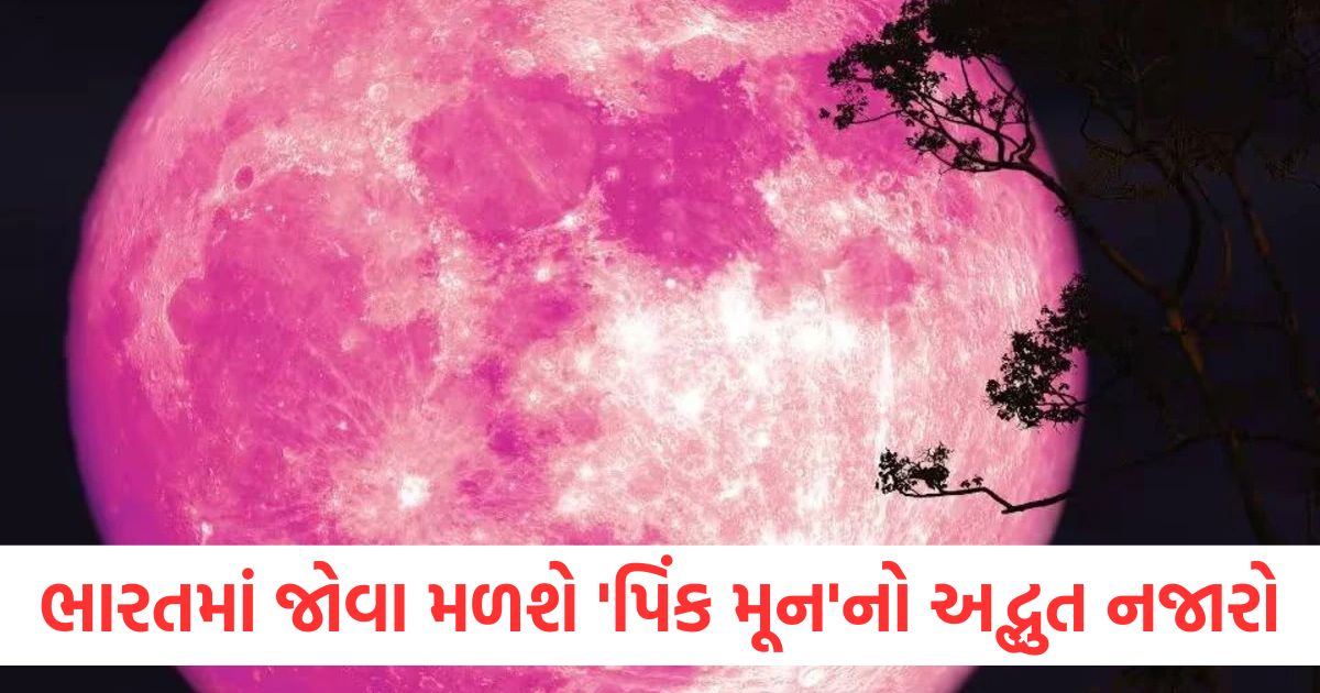 amazing sight of pink moon will be seen in india know when and how to see it
