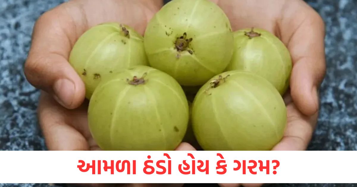 amla is hot or cold know about its taseer