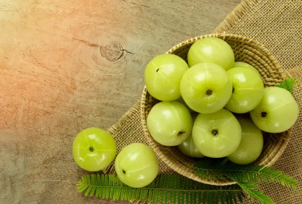 amla is hot or cold know about its taseer1