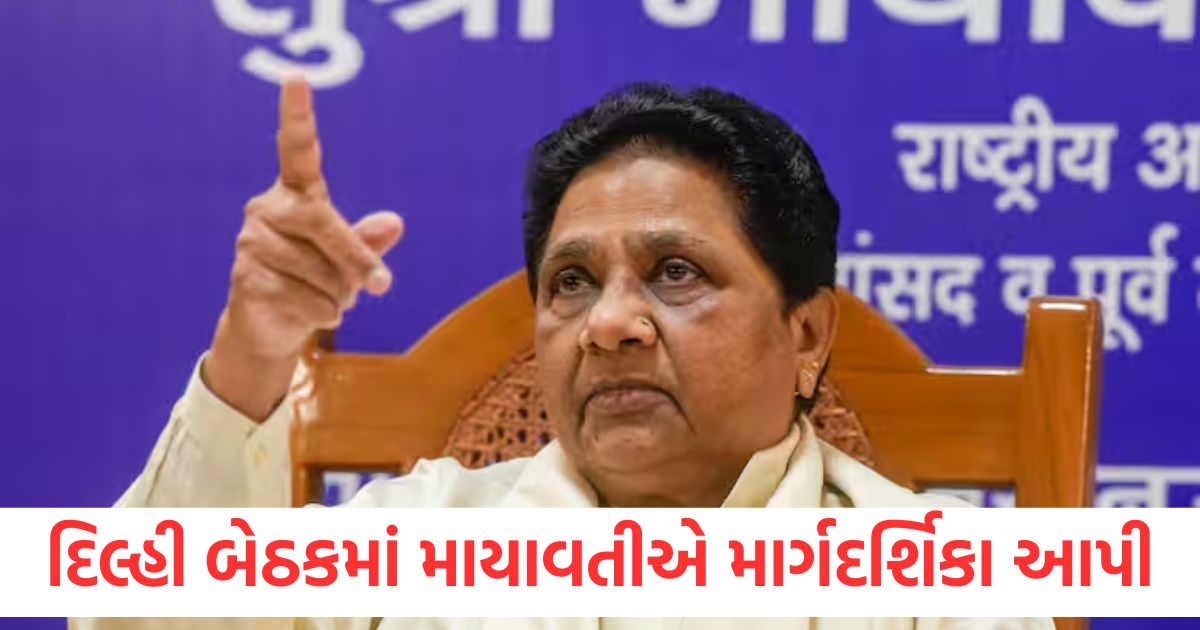 bahujan samaj party chief mayawati held meeting in delhi to strengthen organization in west and south india