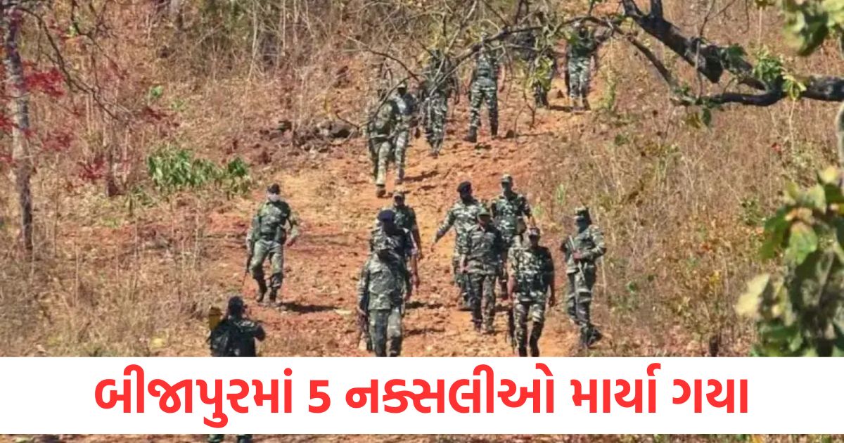 bijapur news 5 naxalites killed police and naxalites encounter continues for fourth day