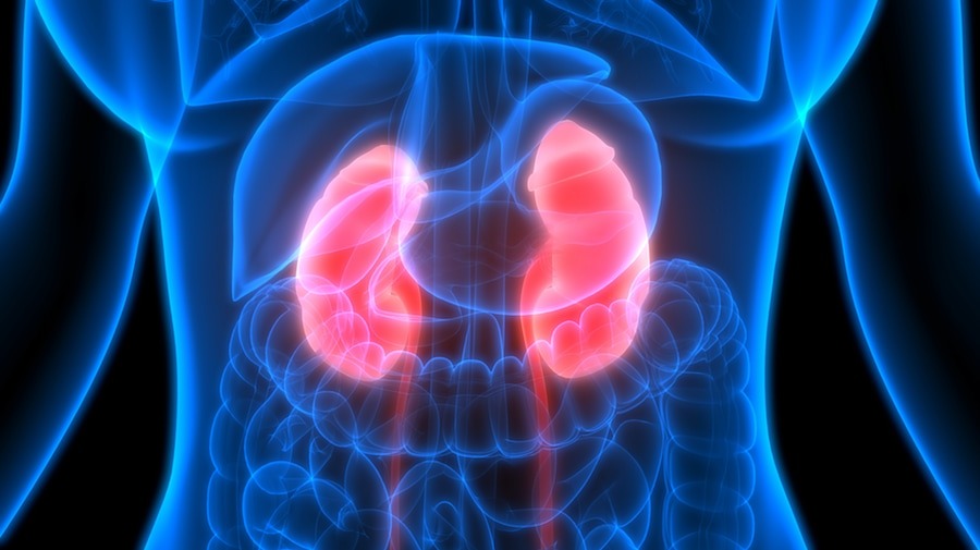 can one live a normal life even after both the kidneys fail know from the doctor1