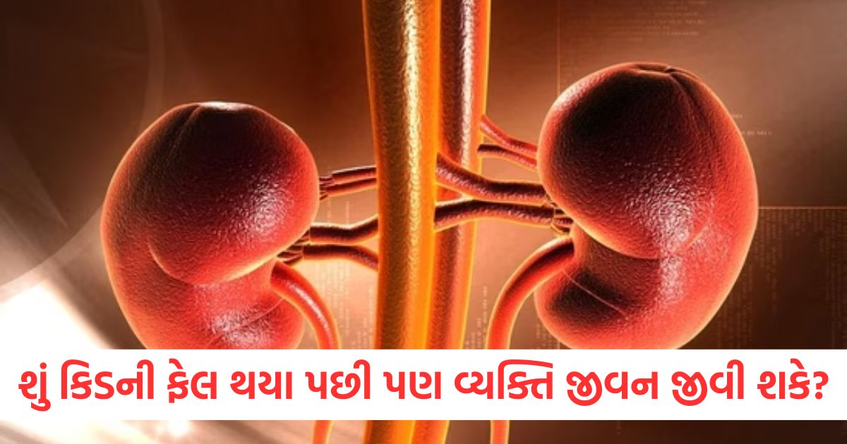 can one live a normal life even after both the kidneys fail know from the doctor2