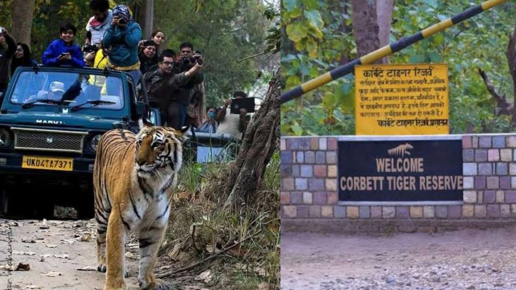 corbett park records revenue up 28 percent