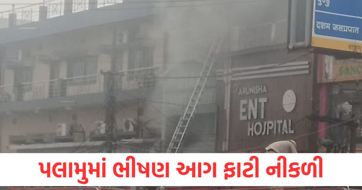fire in palamu jharkhand 5 houses burnt 1 died