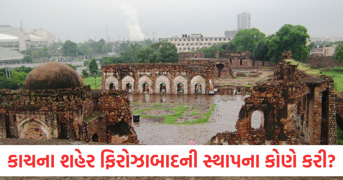 firozabad firozshah build this city in 1566 ad when akbar sent him to save todar mal from thiefs2