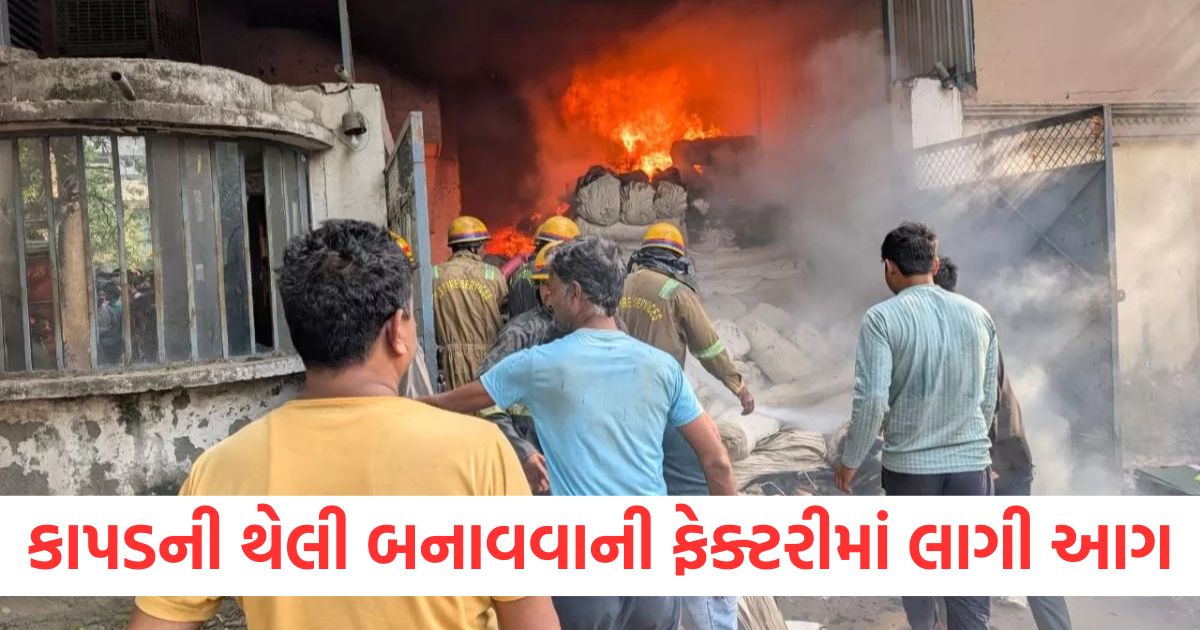 ghaziabad ncr fire broke out in indo india company located in tronica city industrial area was brought under control in four hours