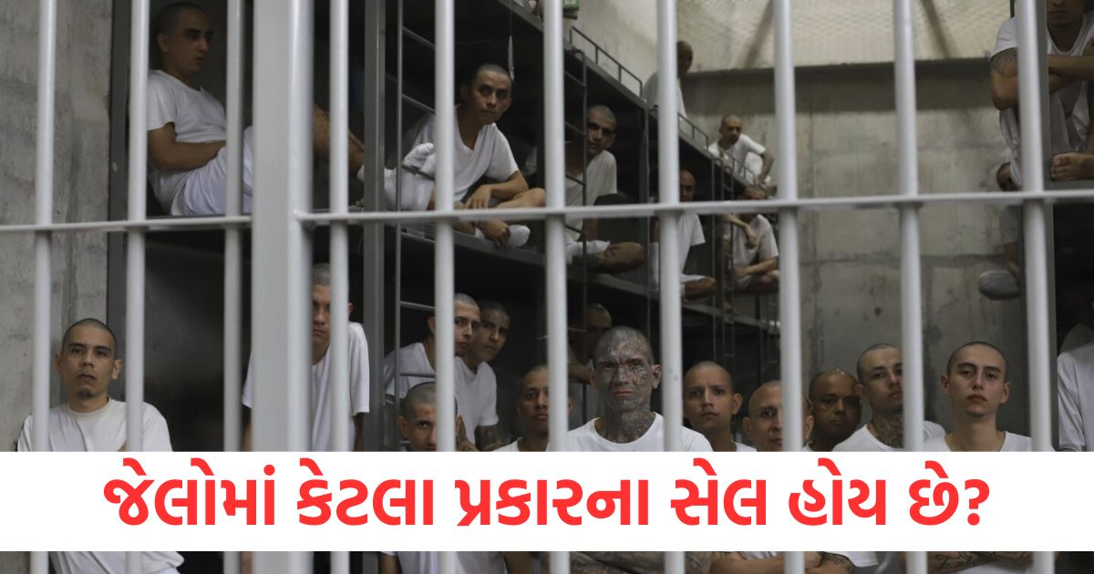 how many types of cells are there in jails egg cell is most dangerous where terrorist tahawwur rana imprisoned