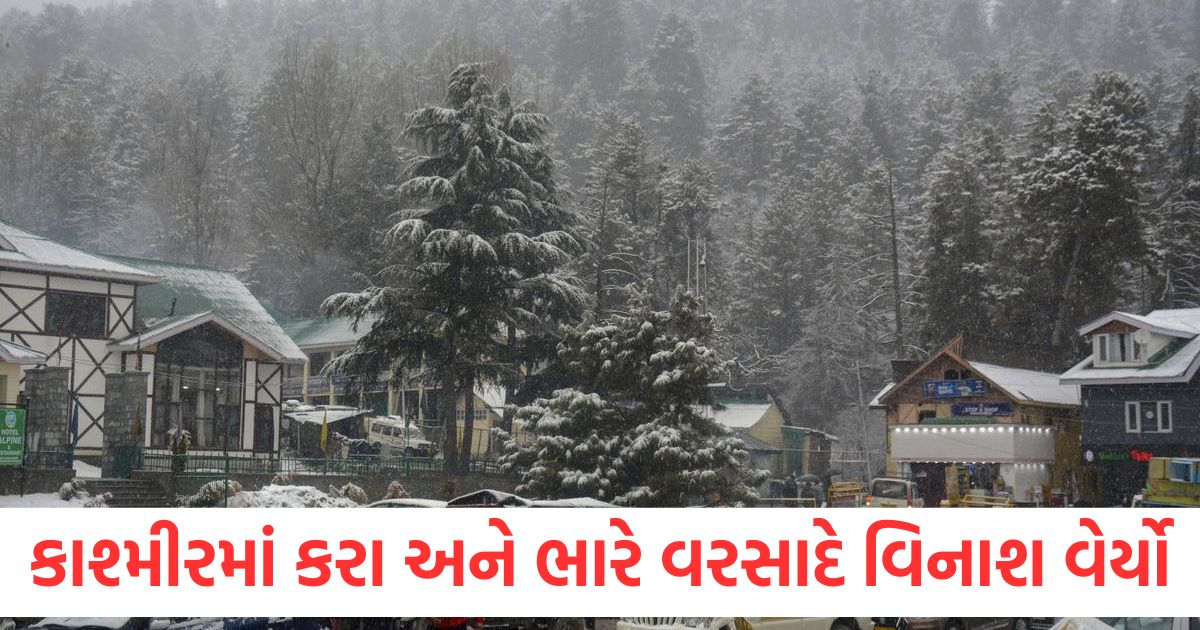jammu kashmir snowfall and heavy rain crops damaged roads closed2