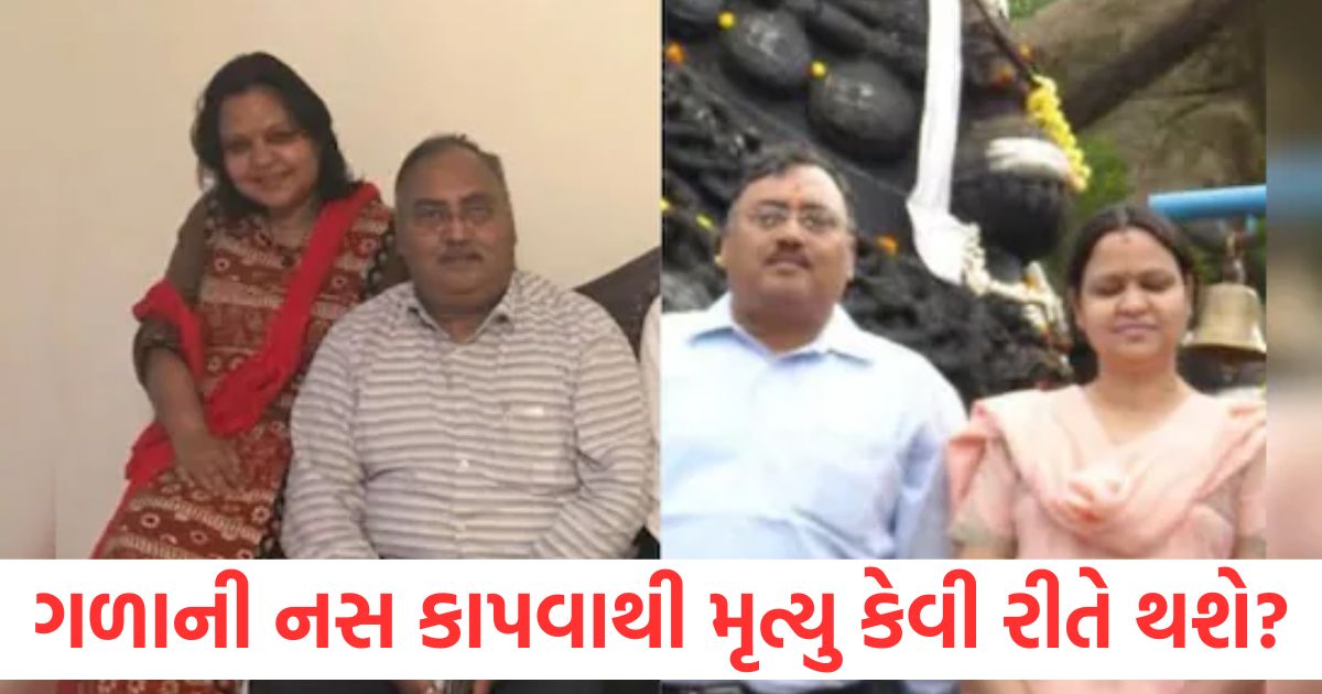 karnataka ex dgp murder case accused wife google search before killing him