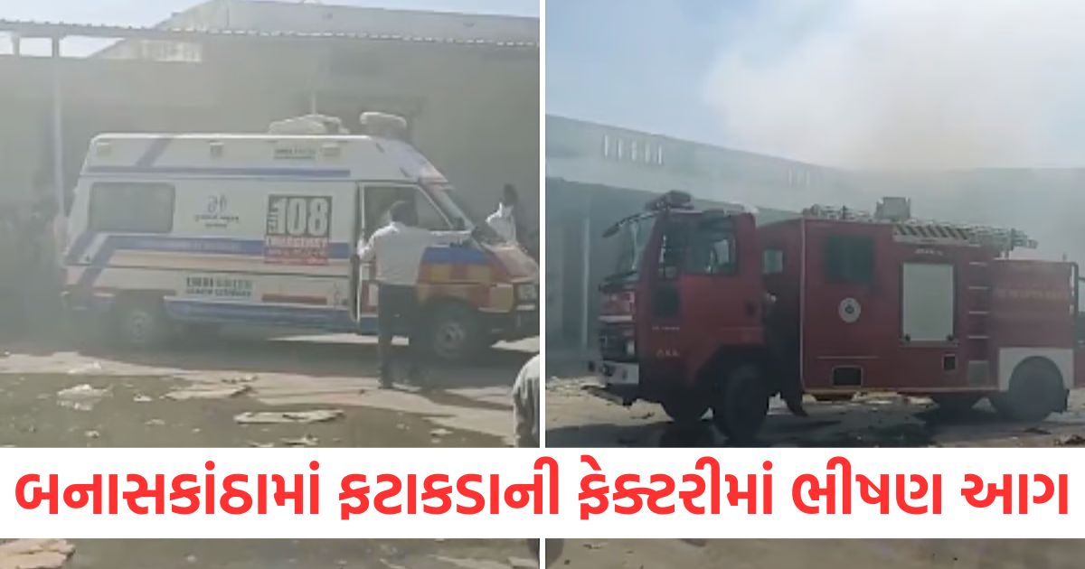 many killed in fire at firecracker factory in gujarat s banaskantha district say police2