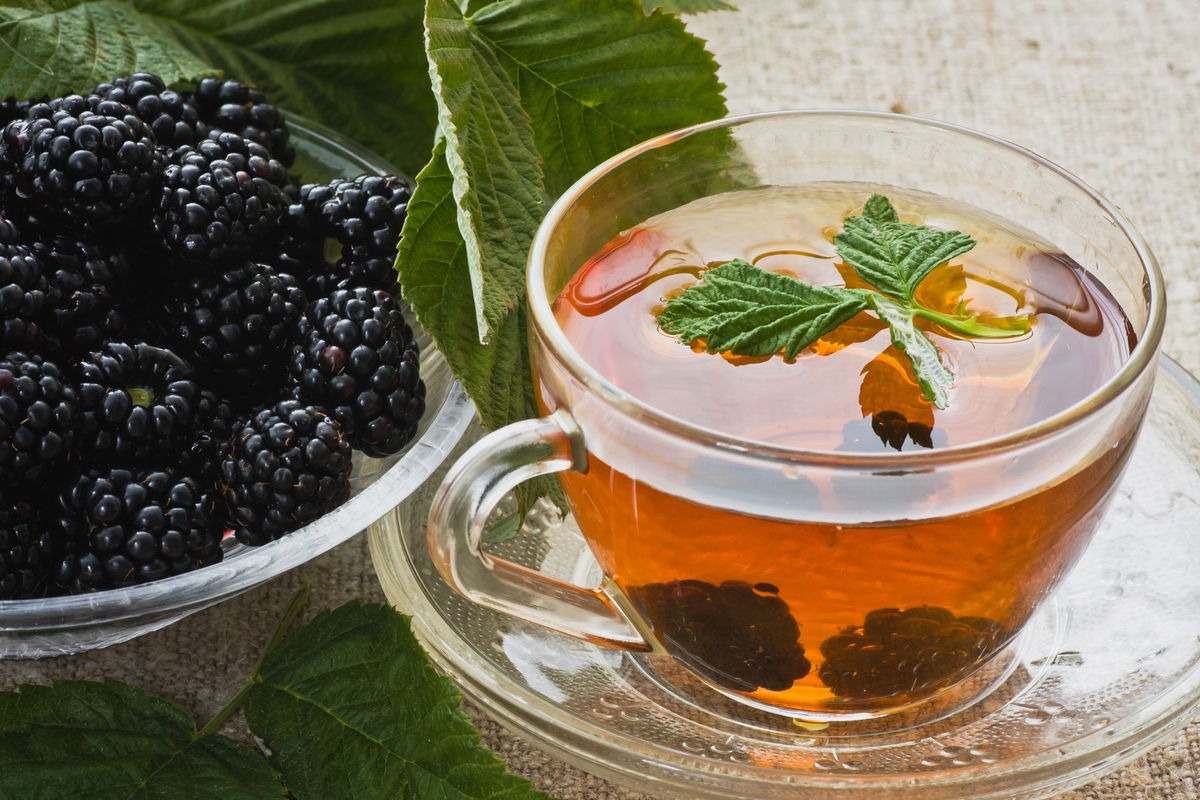 mulberry tea benefits recipe