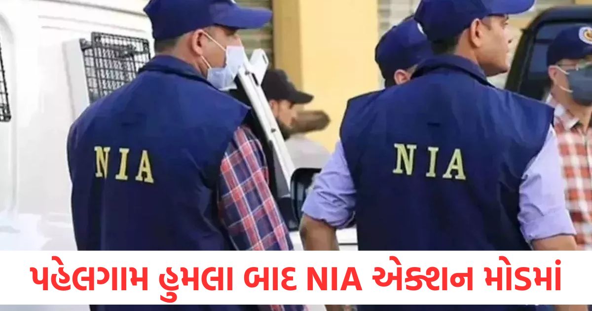 nia intensifies probe into pahalgam attack eyewitnesses being questioned in minute detail