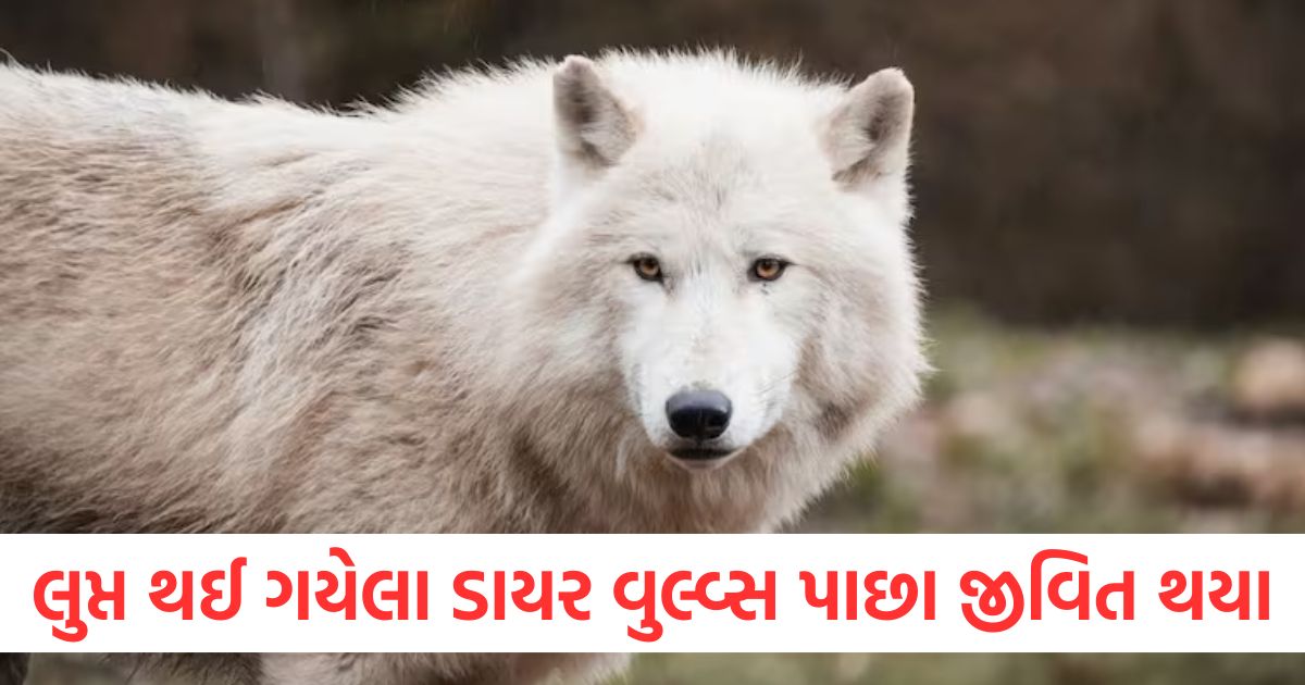 scientists revive dire wolf species which are extinct 13000 years ago will dinosaurs also come back