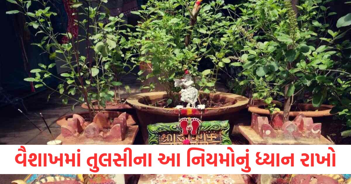 vaishakh month 2025 tulsi related rules vaishakh mai tulsi puja kaise kare