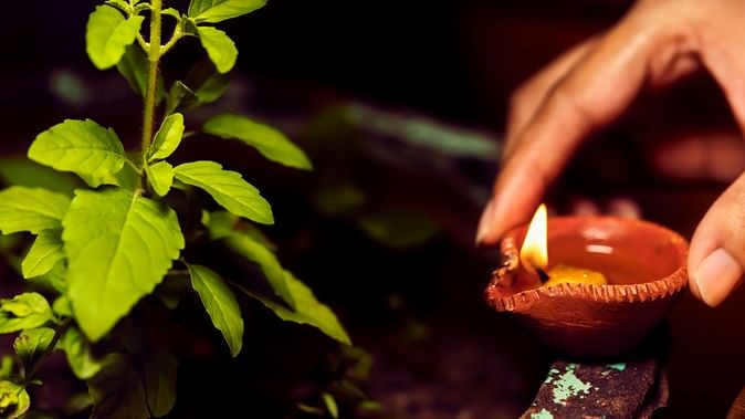 vaishakh month 2025 tulsi related rules vaishakh mai tulsi puja kaise kare2