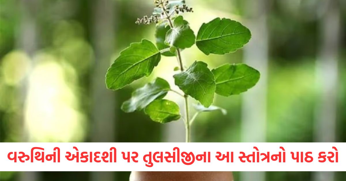 varuthini ekadashi 2025 tulsi mata stotra and mantra on ekadashi for blessing of lord vishnu2