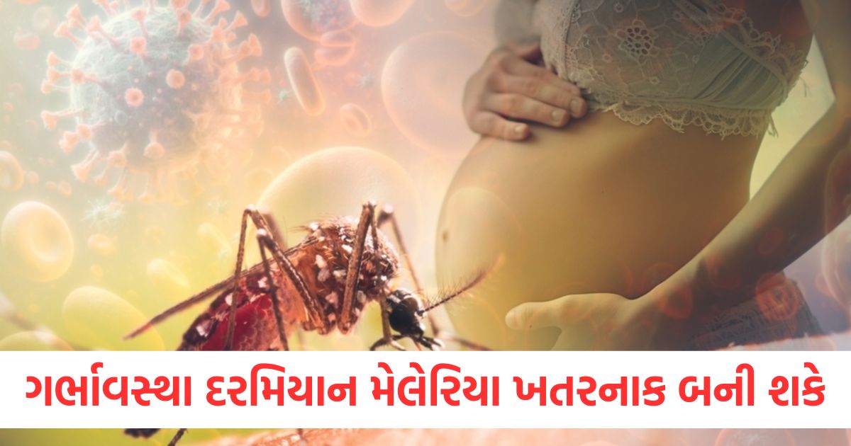 women health malaria in pregnancy risks symptoms and prevention