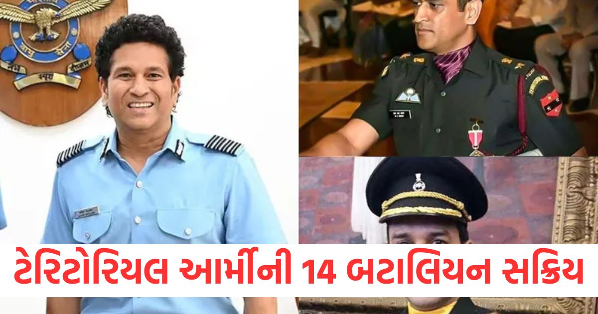 14 battalions territorial army active army chief power call out every officer