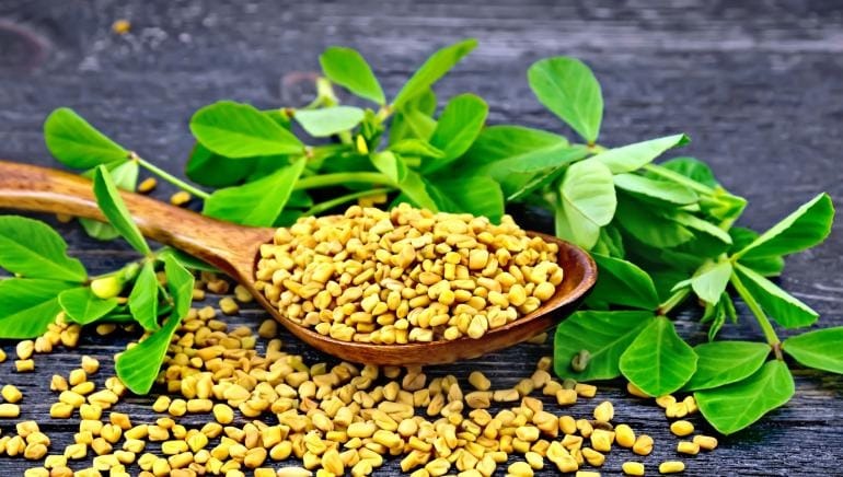 Bring natural glow to your face with fenugreek prepare a face mask at home in minutesqwertyupoiuytrf