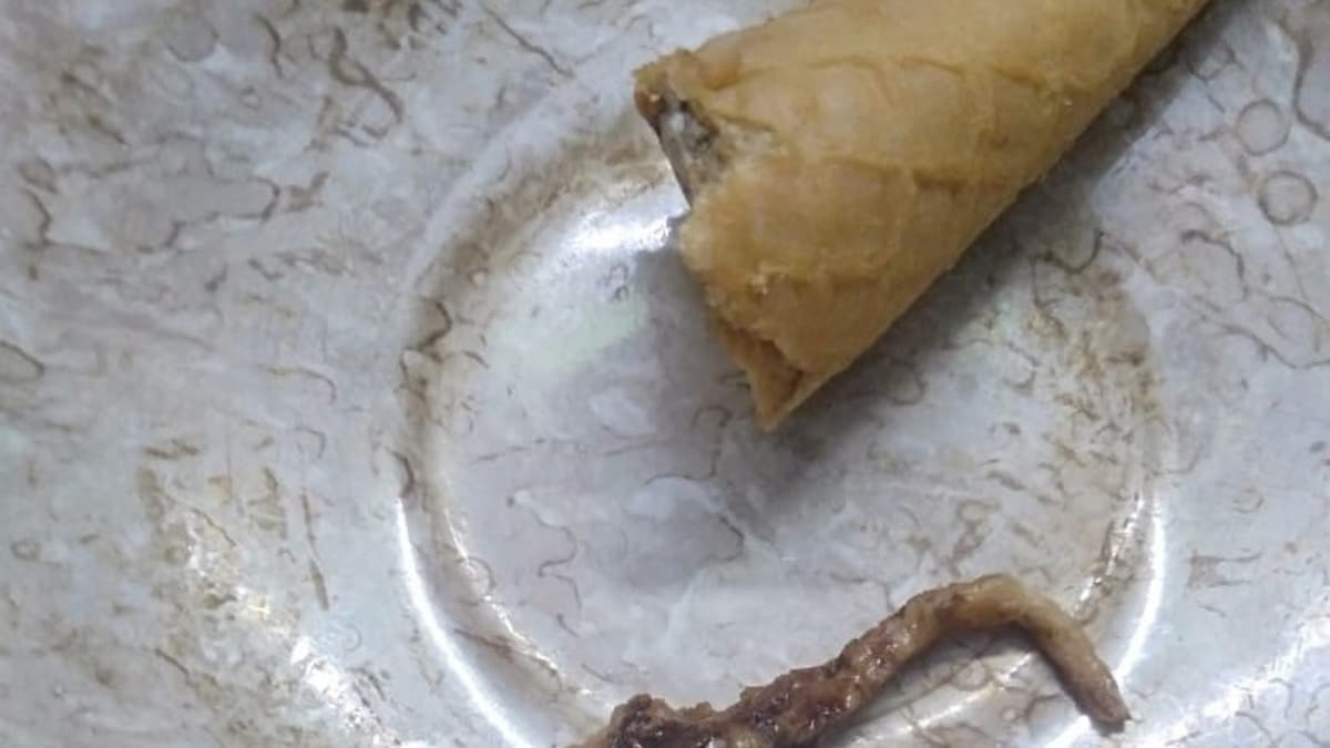 ahmedabad lizard tail icecream cone incident gujarat