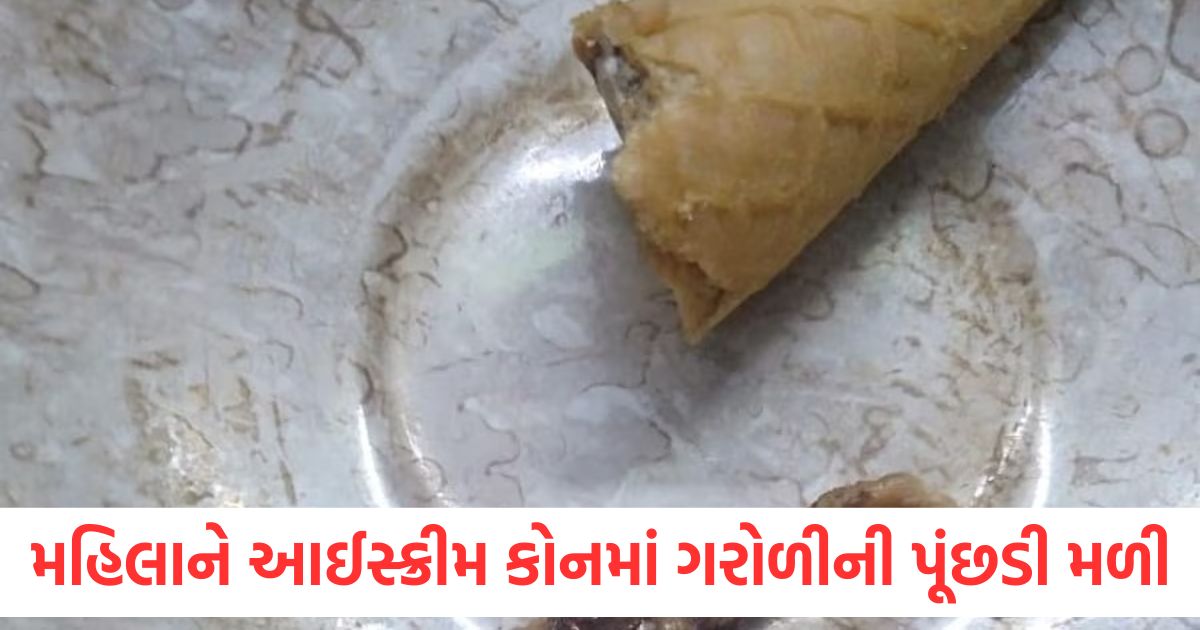 ahmedabad lizard tail icecream cone incident gujarat2