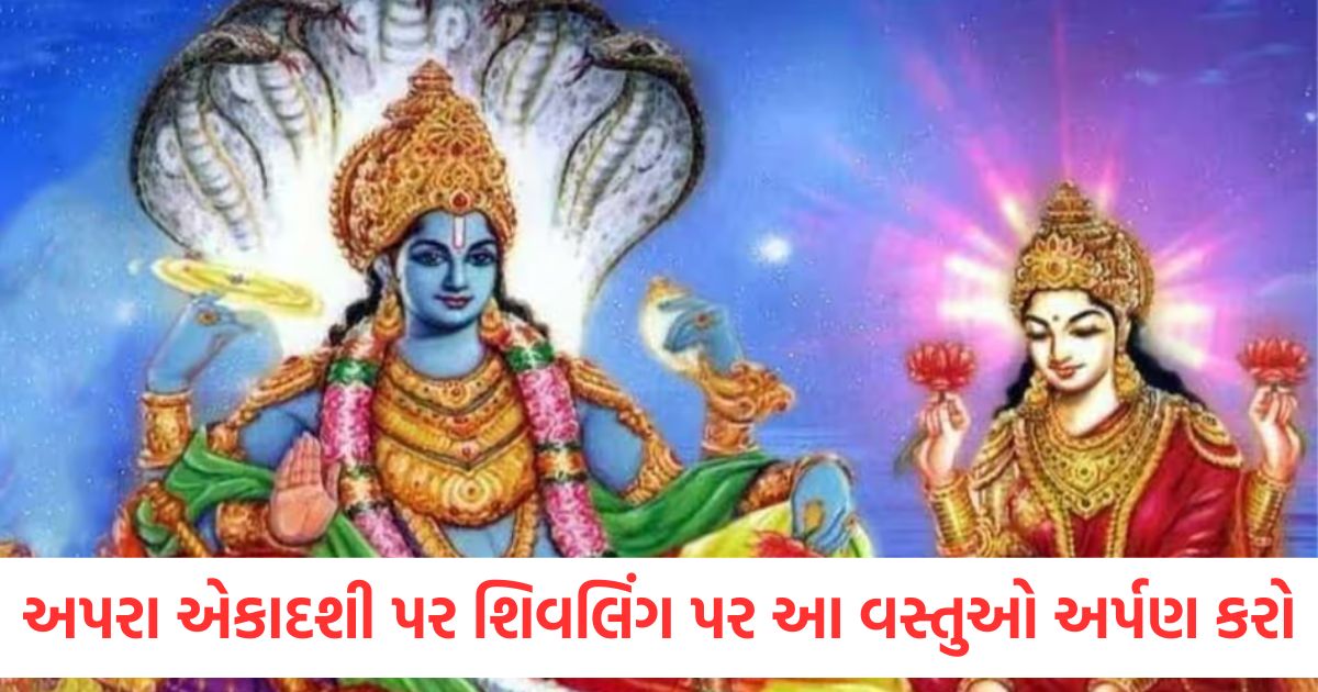 apara ekadashi 2025 offerings to shivling to invite goddess maa lakshmi1