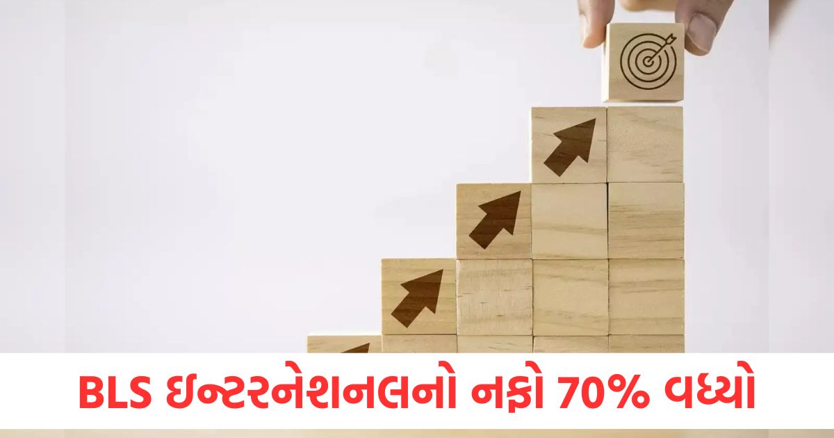 bls international services provider q4 result pat surges to rupees 145 crore2