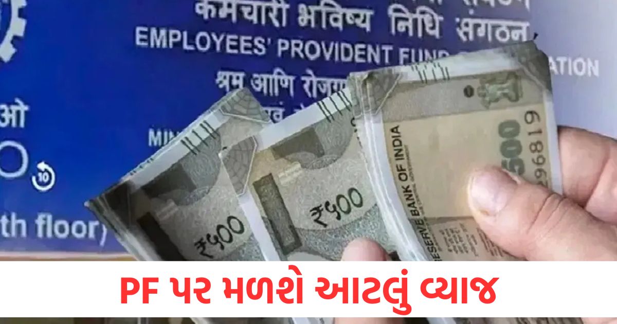 government has ratified the rate of interest on employees provident fund at 8 25 percent