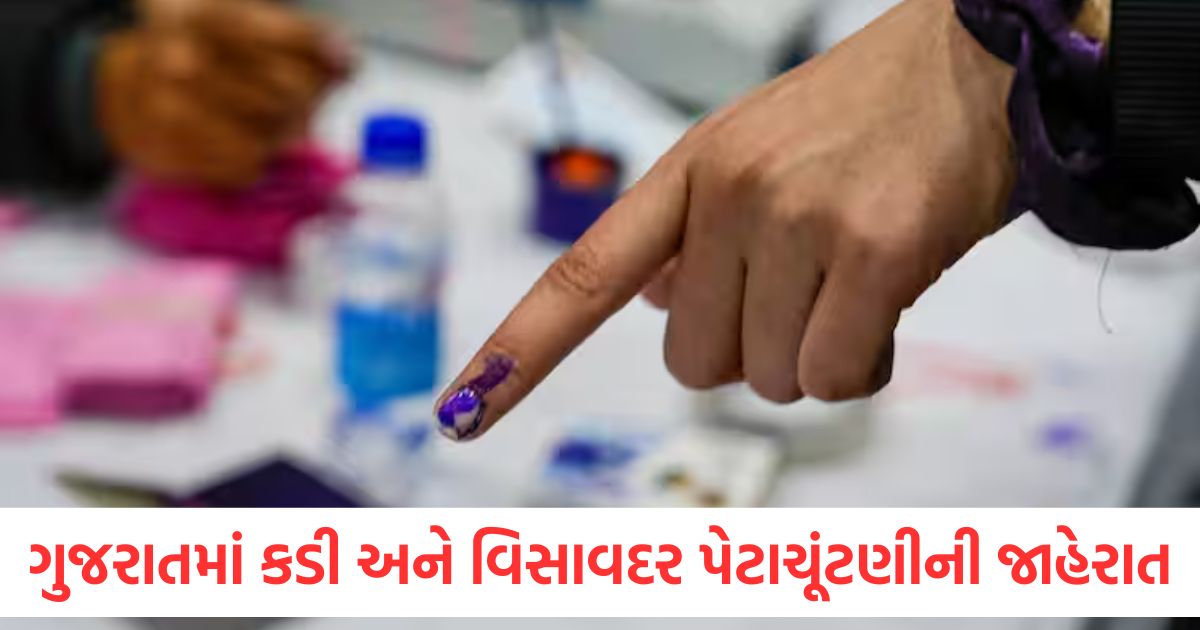 gujarat kadi and visavadar assembly bye election date announced voting on 19 june