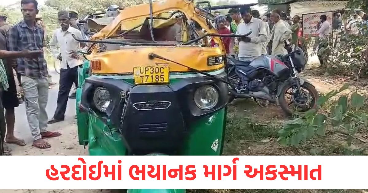 hardoi road accident auto collided with truck 6 people died 3 injured1