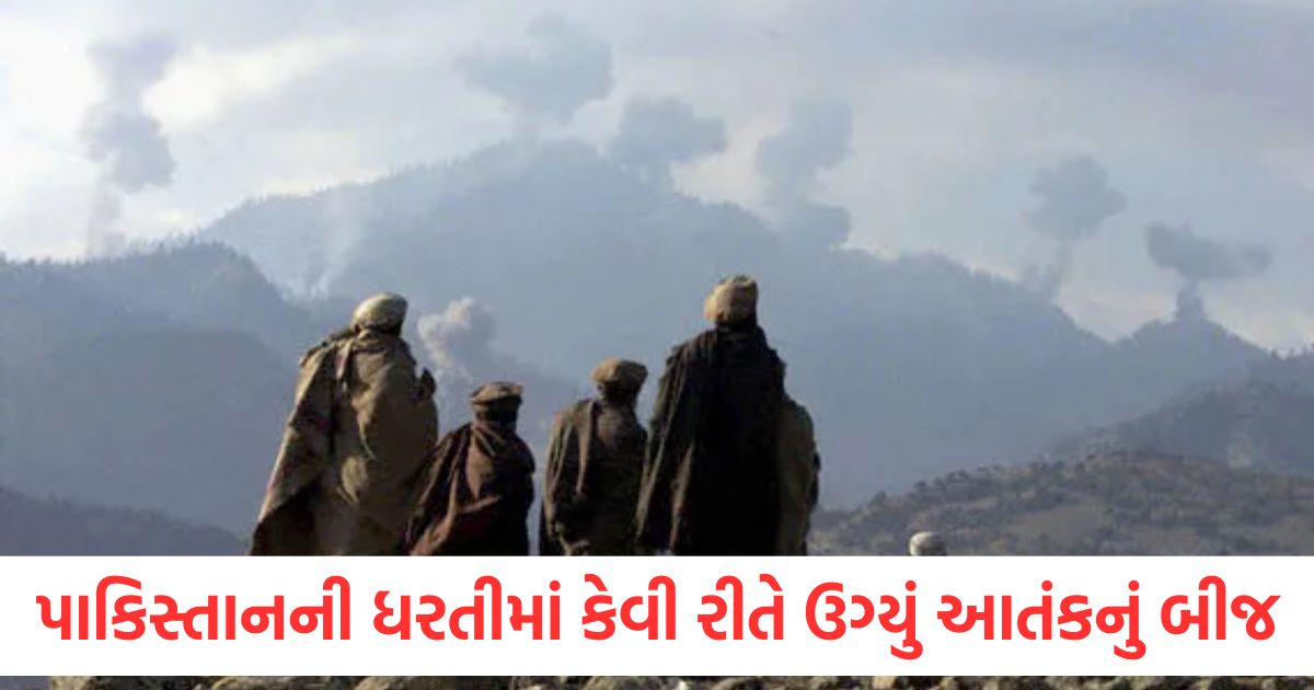 how terrorism start in pakistan who cereated mujhahidin know the full details1