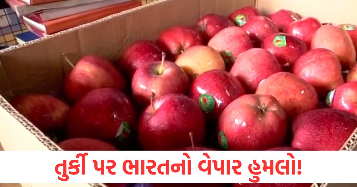 india s trade attack on turkey fruit sellers1