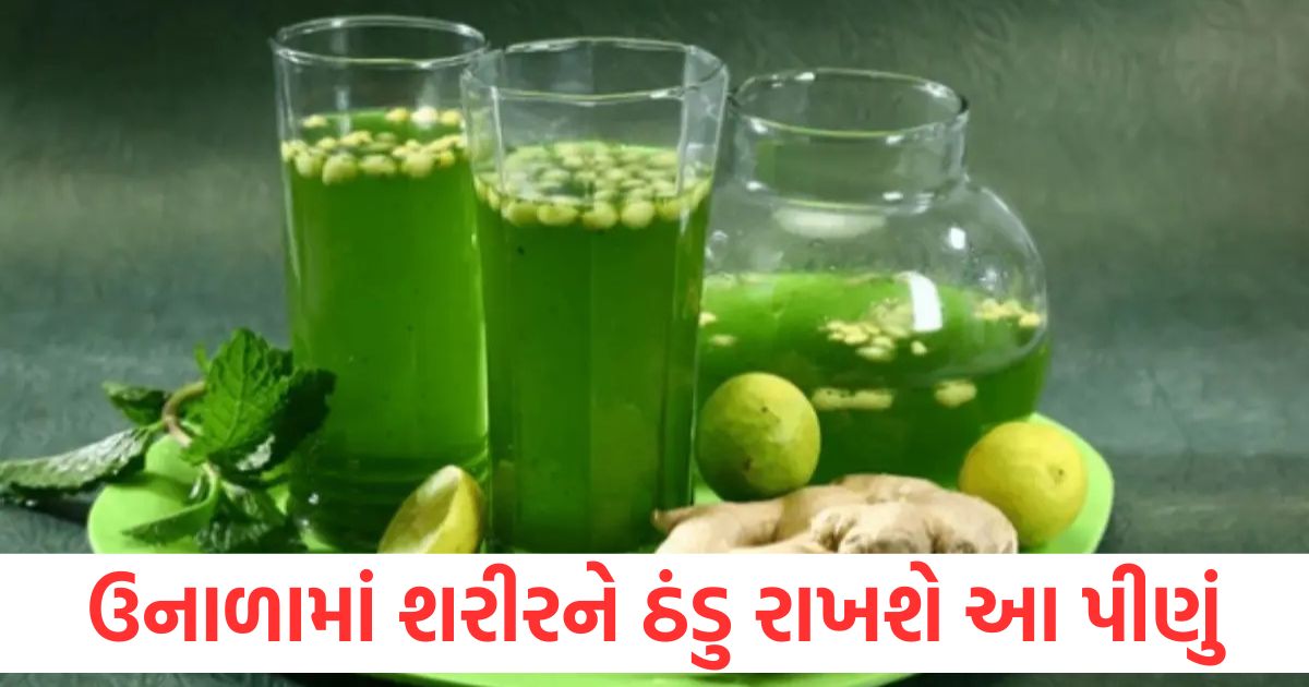 jaljeera recipe ghar per jaljeera kaise banayein2